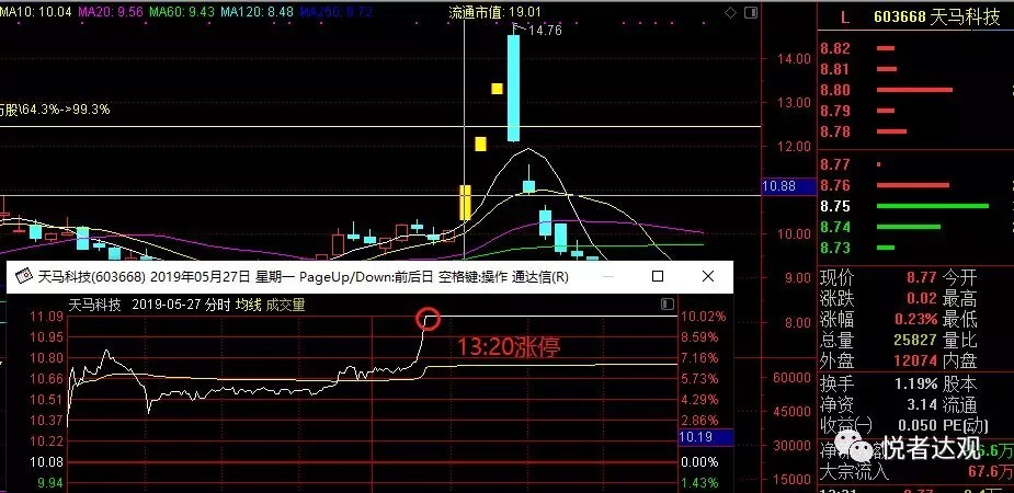 案例2:天马科技