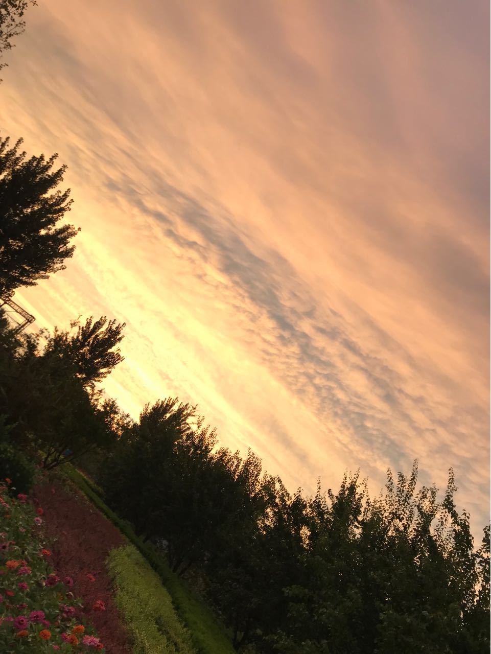 tequila sunset