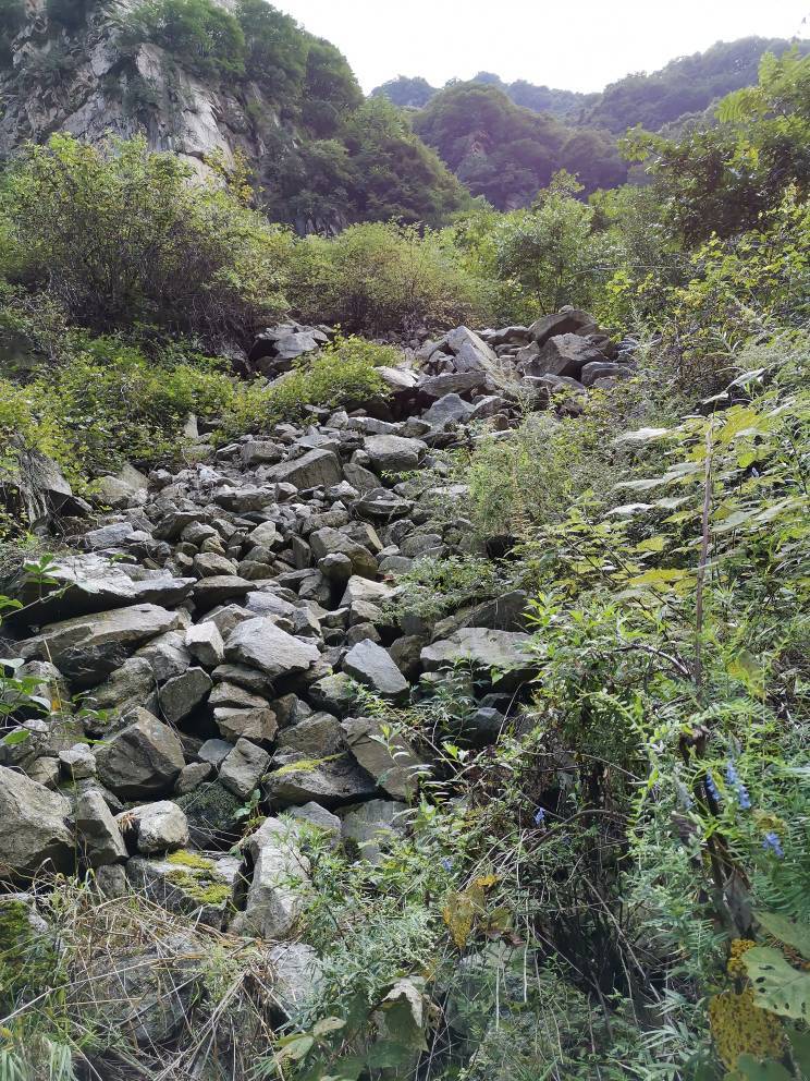 徒步穿越秦岭山脉无人区 追求知行合一最高境界