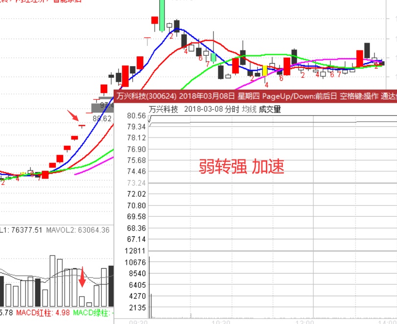 涅盘重升专题学(2)