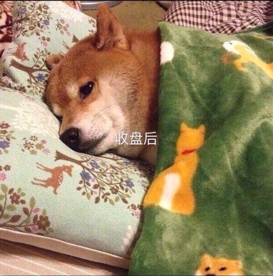 解梦，梦见自己踩死一只狗