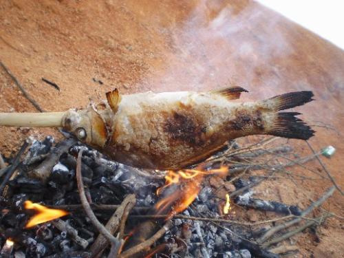 羽毛40万实盘 :风雨中,踟蹰独行 ,只为了当初的那份执念
