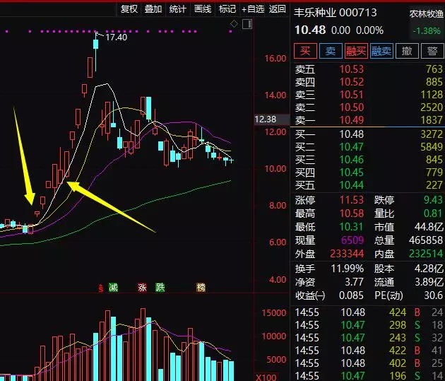 股影方恨少_ sz002481