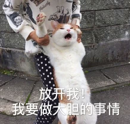 发呆表情包是啥意思 jy8e2i7bz89z.jpg_760w.png