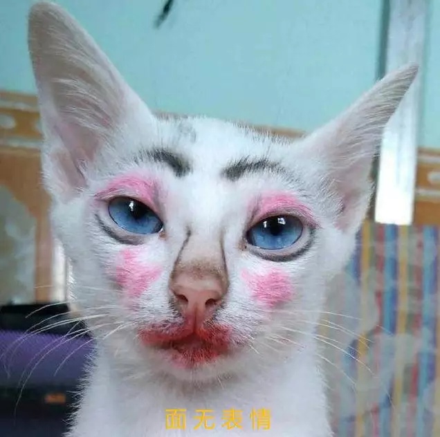 笑话,天大的笑话!