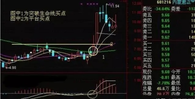 upkbw8pc5dpc.jpg_760w.png