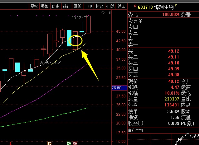 海南免税GDP_海南免税(3)