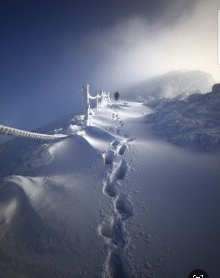 迎着风雪继续奔跑