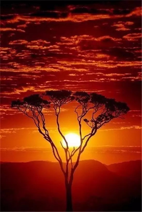 股市长红!_成长的9菜_ 淘股吧