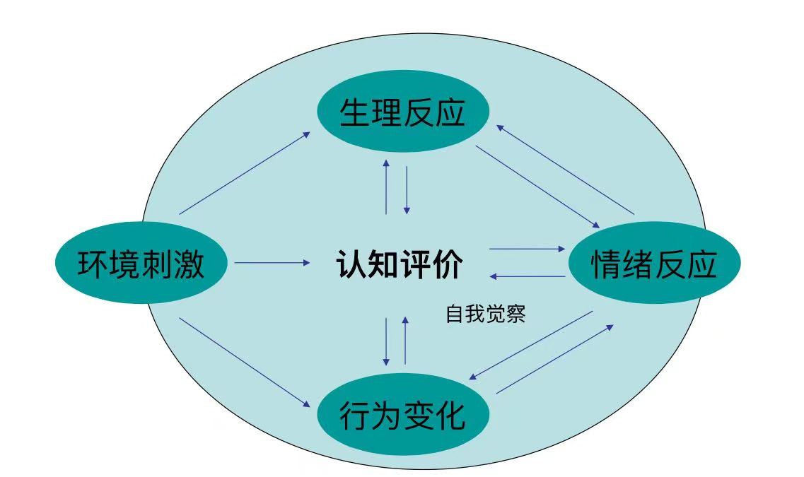 不同认知维度下行为68情绪68思维与交易系统_天门悟空_ sh603508